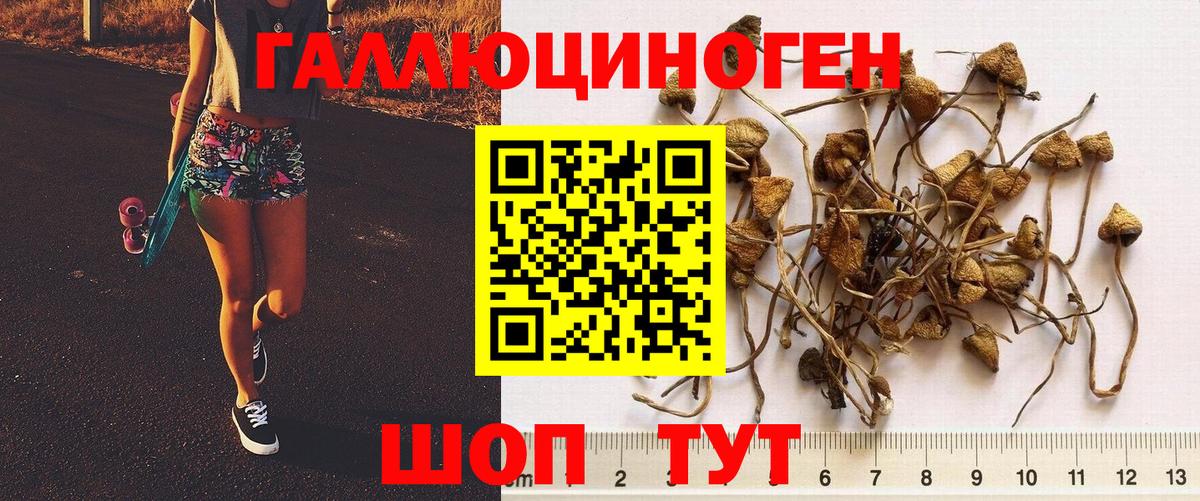 Галлюциногенные грибы мухоморы Таганрог